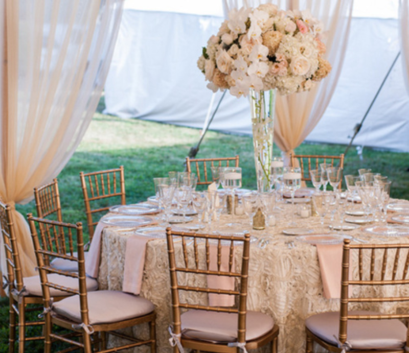 PARTY TENTS Party Rental Business