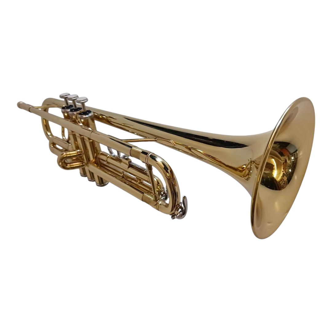 Bflat Trumpet For Rent In Miami