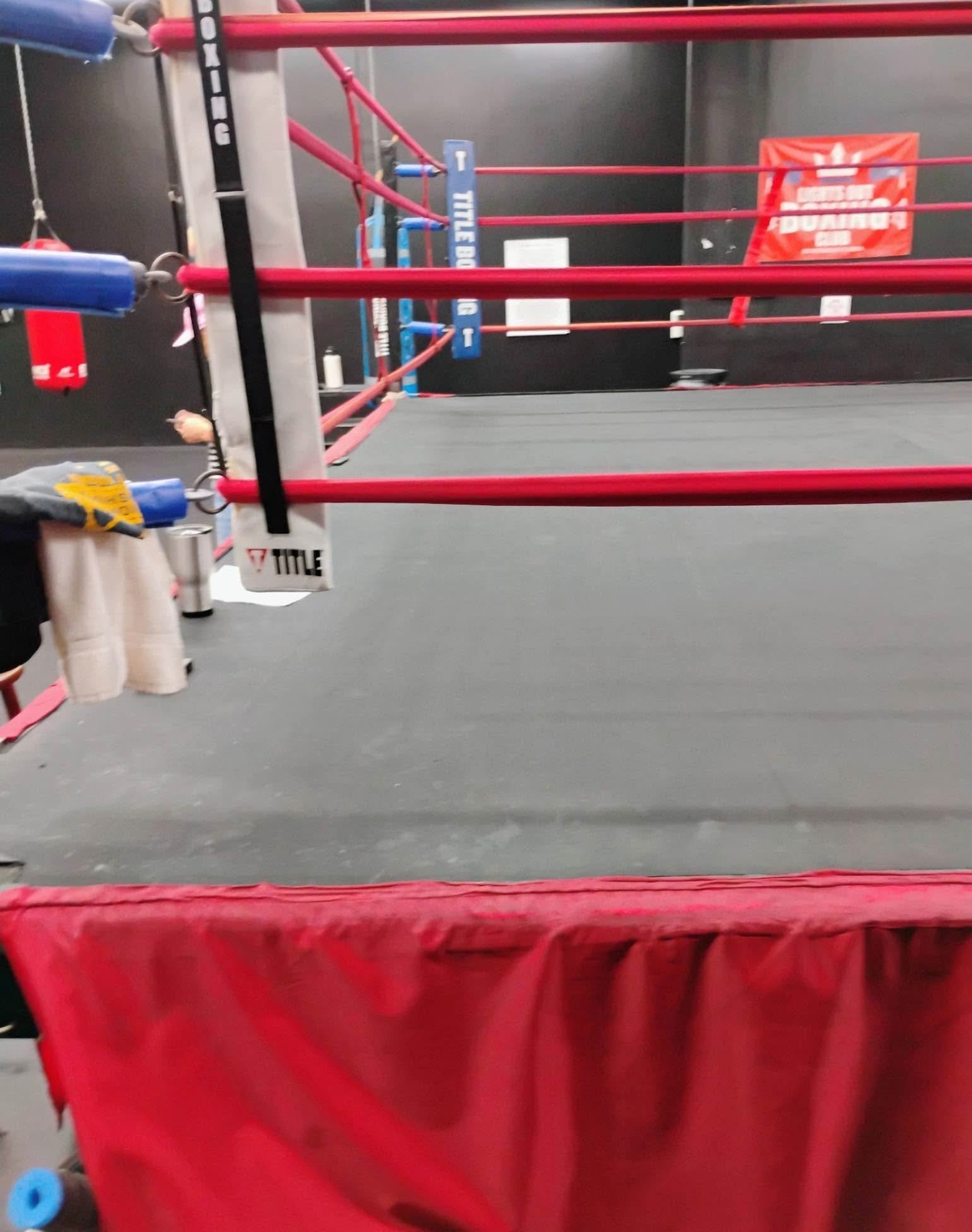 20x20 Boxing Ring Rental | Professional Boxing Ring for Events in Miami - Image 3