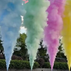 Color Fog Jet Machine Rental Miami | CO2 Fog Cannon Rental Near Me | Party Fun Rental