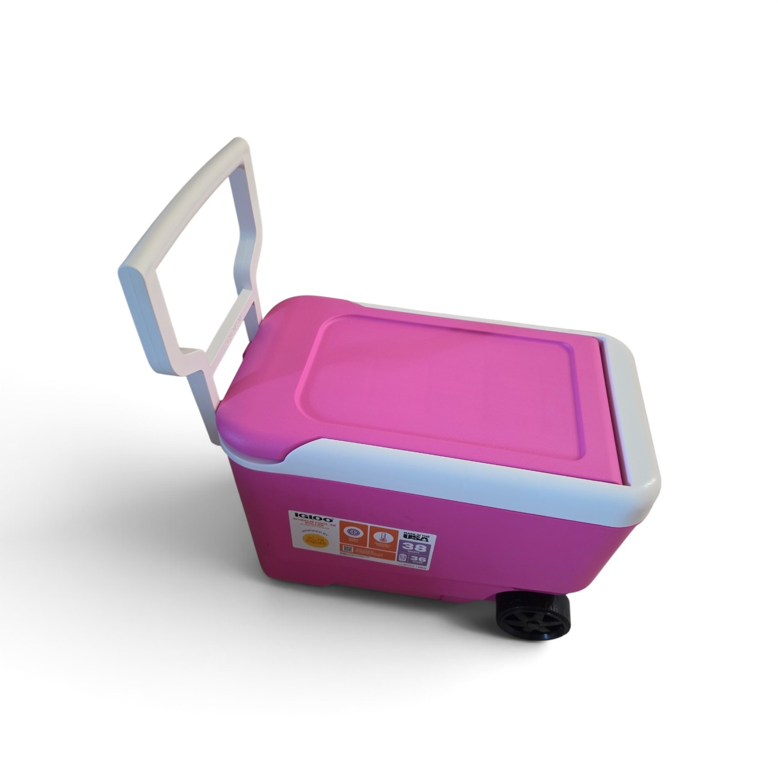 Pink Cooler Rental In South Florida