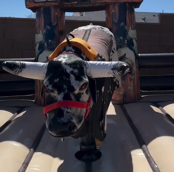 Mechanical Bull Rental in South Florida | Miami & Broward - Image 2