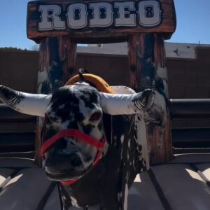Mechanical Bull Rental in South Florida | Miami & Broward