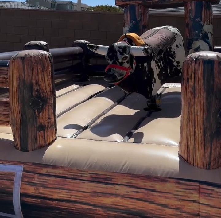 Mechanical Bull Rental in South Florida | Miami & Broward - Image 3